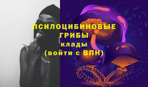 амф Горнозаводск