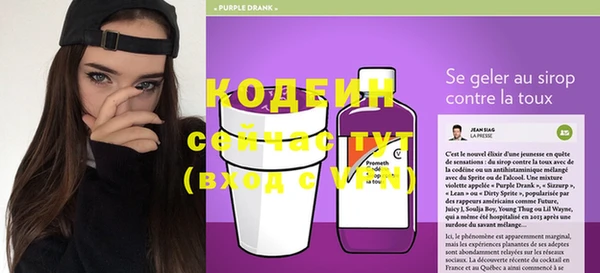 МДПВ Горняк