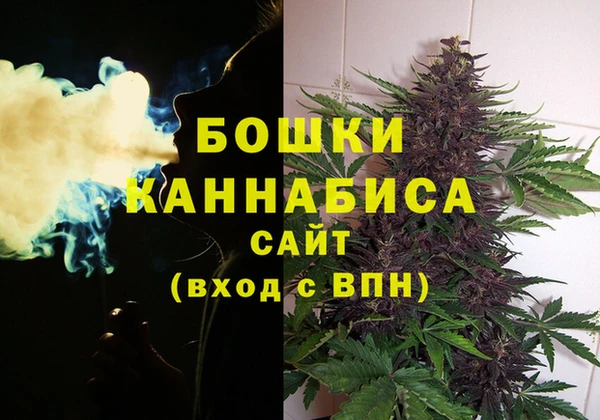 стаф Гусиноозёрск