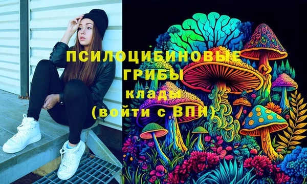 МДПВ Горняк