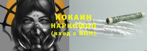 гидропоника Горно-Алтайск