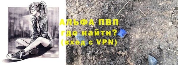 стаф Гусиноозёрск