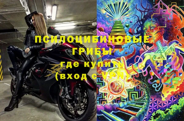 дживик Гусь-Хрустальный