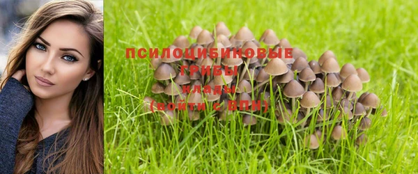 стаф Гусиноозёрск