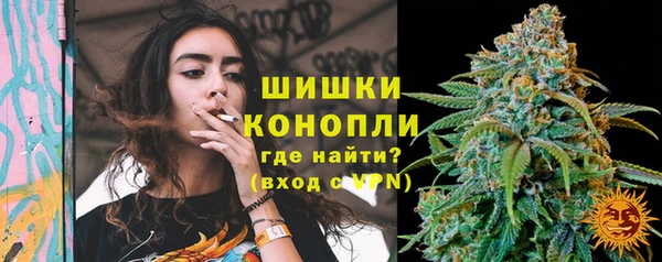 гидропоника Горно-Алтайск