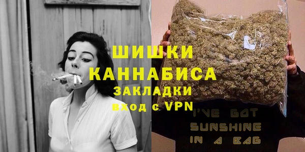 дживик Гусь-Хрустальный
