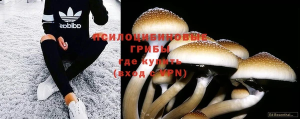 стаф Гусиноозёрск
